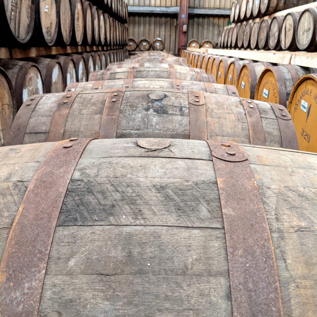 Cask Buying Guide